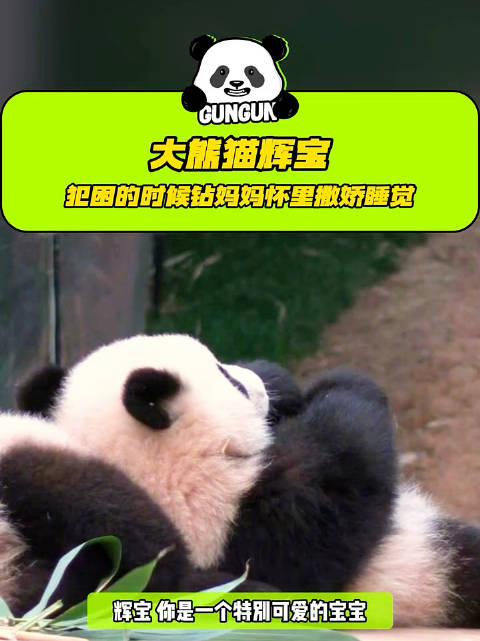 辉宝是一款犯困时会钻进妈妈怀里撒娇的可爱宝宝