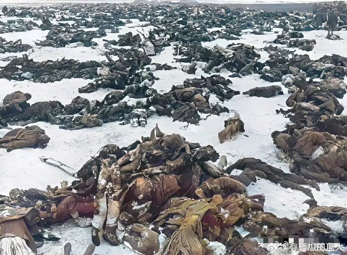 1943年2月斯大林格勒战役结束后战地摄影师拍到的德军士兵们尸体