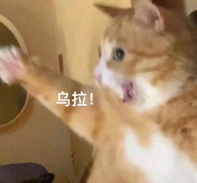 me see see南无阿弥陀佛好了闭嘴垮起个小鼠批脸