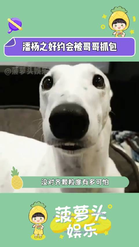 潘杨之好约会被哥哥抓包哥也是来助攻的哈惜花芷_手机新浪网