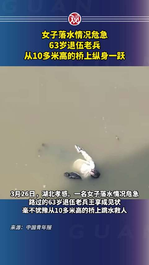 女子落水情况危急63岁退伍老兵从10多米高的桥上纵身一跃