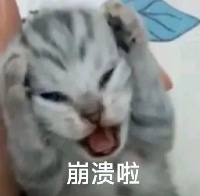 表情包又更新了…|表情包_新浪新闻