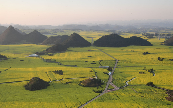 云南罗平，盛开的油菜花海。受访者供图