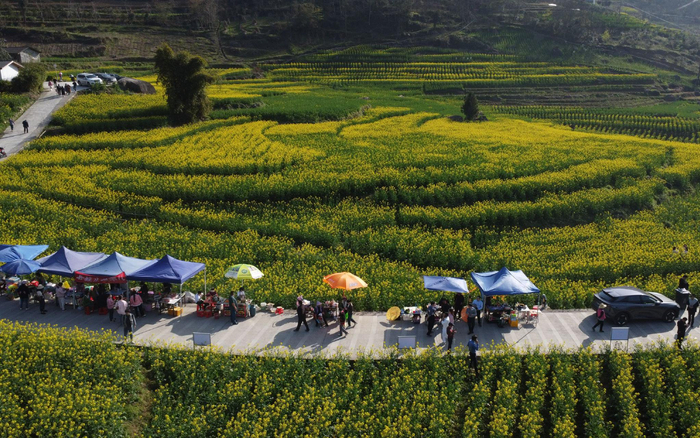 湖北恩施田凤坪村，2000亩油菜地里，田间道路上摆摊的村民和往来的游客。新京报记者 周怀宗 摄