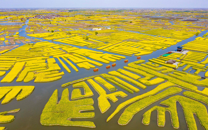 花田里的"泼天富贵" 垛田水乡从1万元门票钱到每年百亿元收入|油菜花