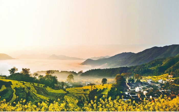 江西婺源，山间薄雾笼罩的村庄和花田。受访者供图