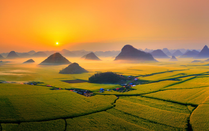 云南罗平，油菜花海。受访者供图