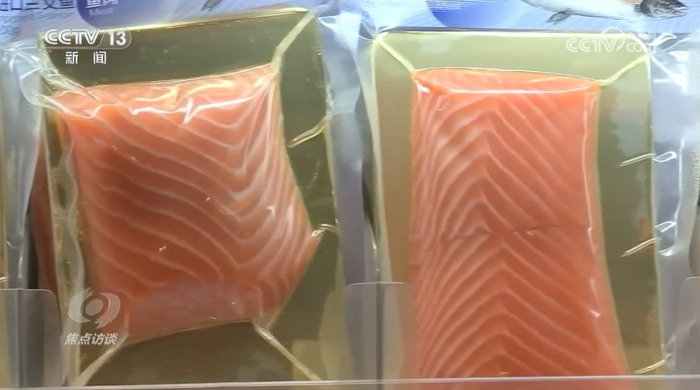 焦点访谈:鱼从山中来|三文鱼|鱼子酱|养殖_新浪新闻