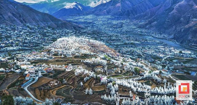 "五美"合体 绘就宜居宜业乡村新画卷——解琐阿坝州金川县乡村振兴