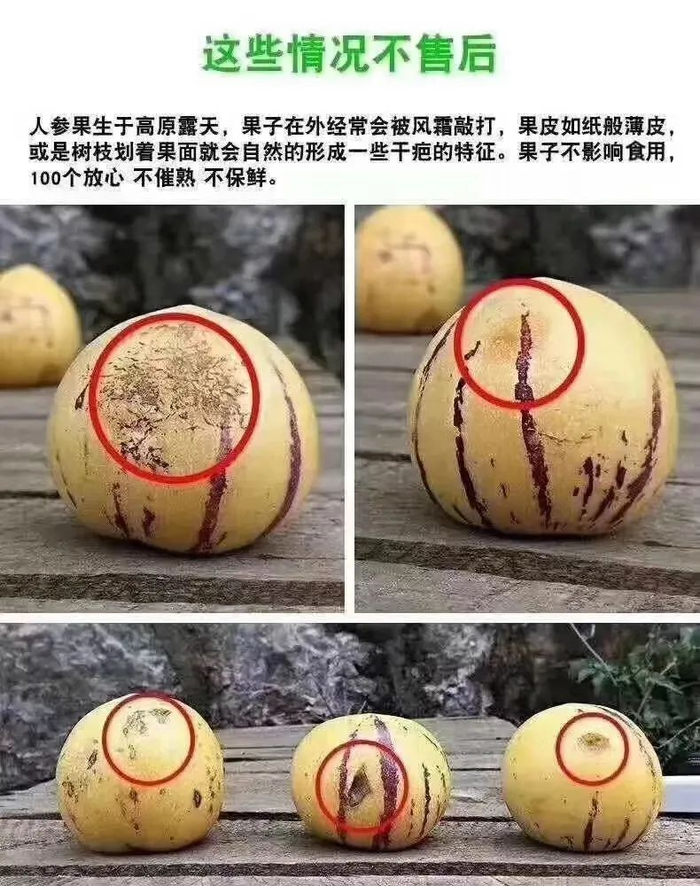 云南|人参果|口感_新浪新闻