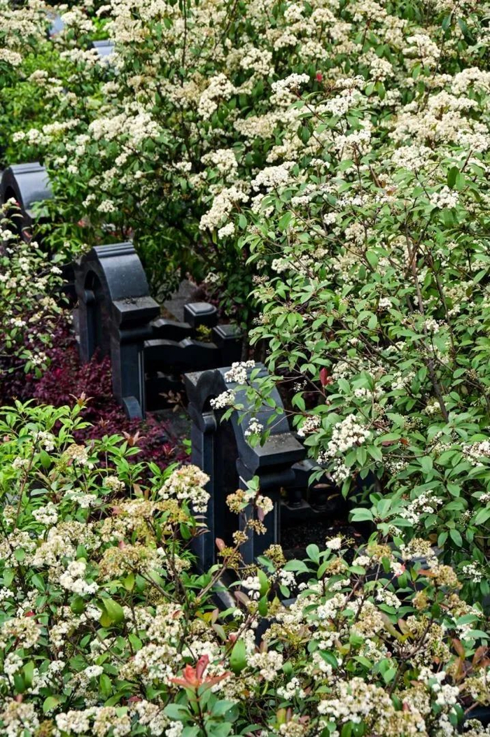 月山公墓位于叶山路155号,距柳州市中心仅9公里,始建于1995年,占地247