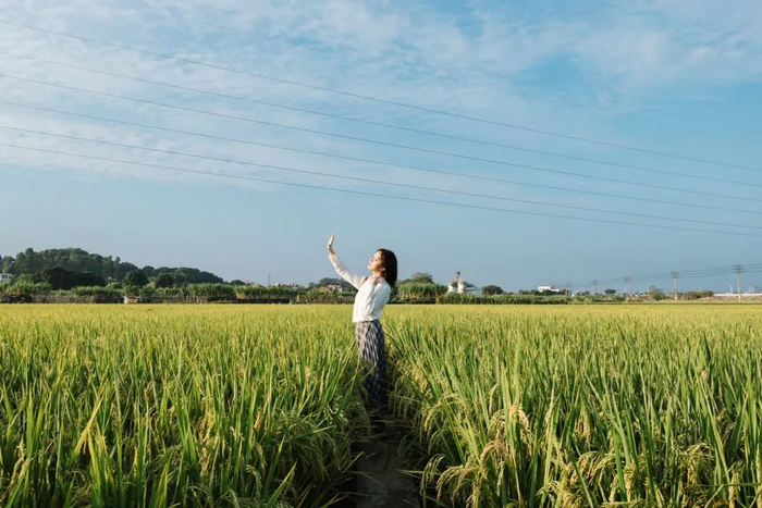 人民日报提升幸福感的18件小事