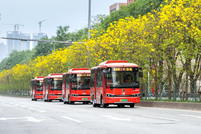 扬手即停羊城小巴上线啦