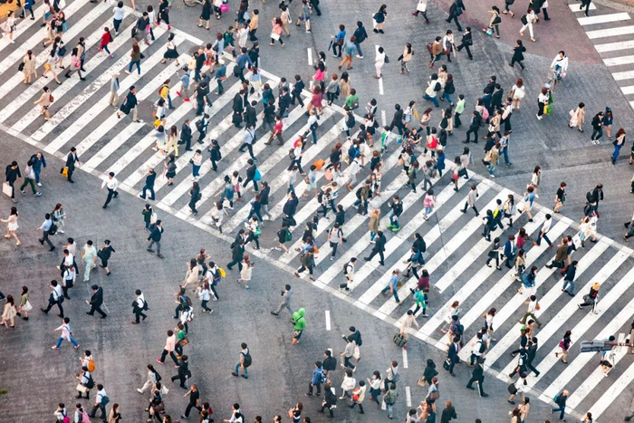 △图源：图虫创意