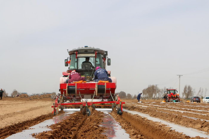 田间地头看春耕智慧农机赋能小土豆种出大产业