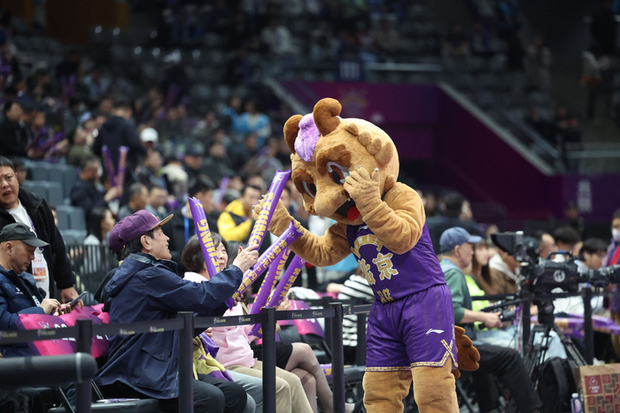 北控凭借本赛季的出色表现，俘获了京城很多球迷的心。  新京报记者 王飞 摄