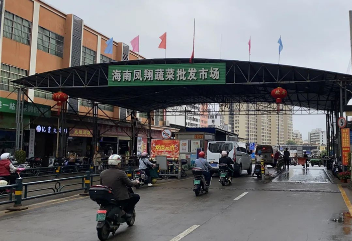 ▲海南凤翔蔬菜批发市场。受访者供图