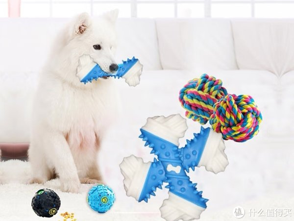 狗狗的新宠这几款玩具让汪星人乐翻天