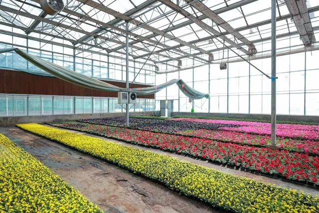 太原晋源区迎来花卉研学热