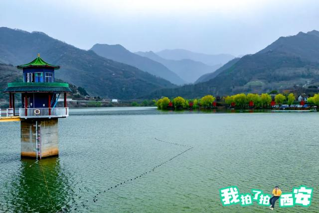 在周至打开春天的n种方式