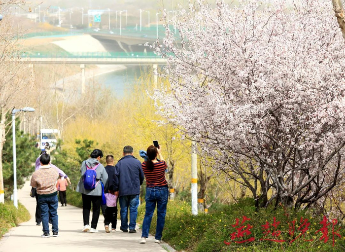 （资料图片）图/燕赵晚报融媒体记者 张海强