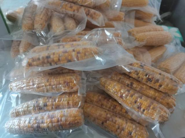 柳河镇甜糯玉米种出好"钱景"|玉米|柳河镇|钱景_新浪新闻