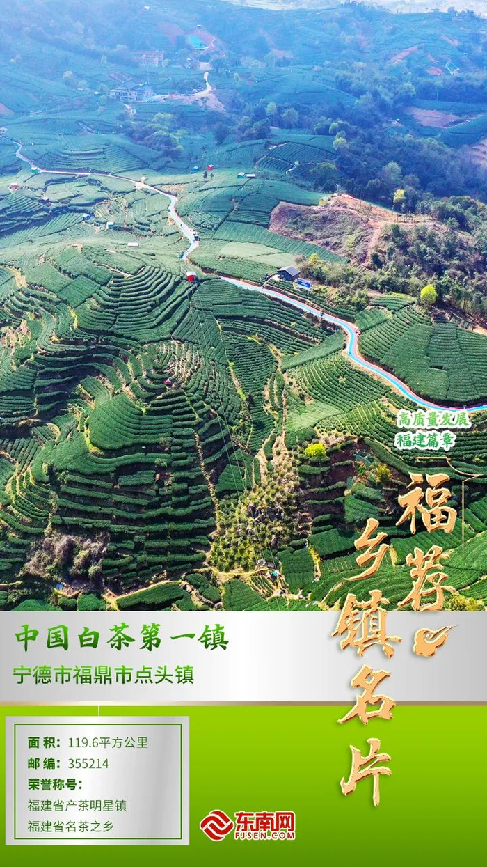 "福"荐乡镇名片丨中国白茶第一镇:点头镇|点头镇|白茶|福鼎市_新浪