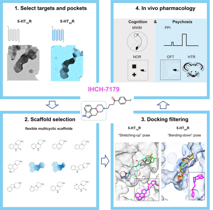 多靶点、多功效药物设计新方法FSCA。 分子细胞卓越中心供图