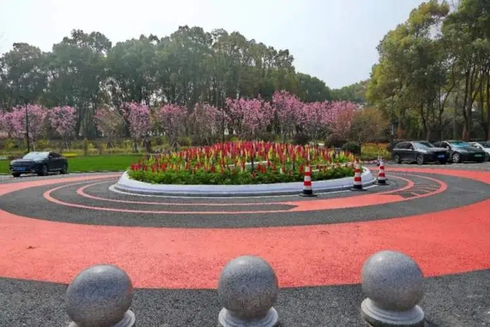 上海世纪公园将拆除围墙并24小时免费开放最快就在五一前