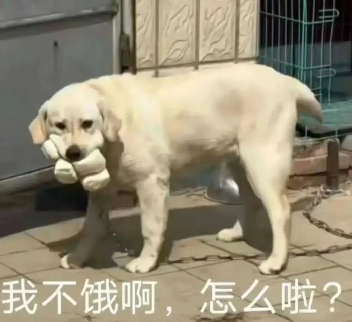 至少比起轻食"沙拉",水煮菜加点火锅底料,就成了"减脂餐之神".