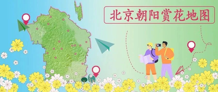 来源：北京朝阳微信号