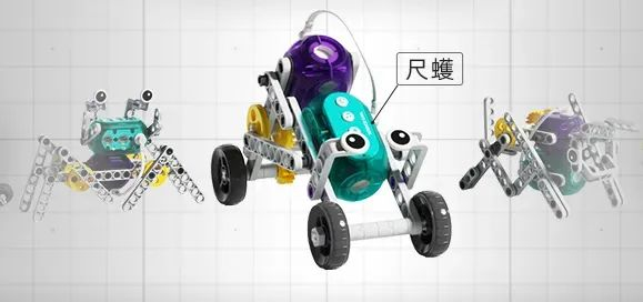300炫酷造型每个造型不到1块钱10个月不重样带娃学