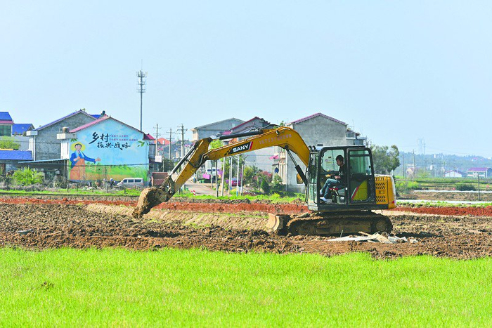 衡龙桥镇 高标准农田建设护航春耕备耕|龙桥镇|春耕|备耕_新浪新闻