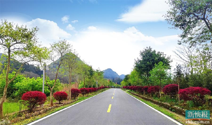 阳山大崀镇:推进乡村绿化,"最美农村公路" 添绿增彩|广东省_新浪新闻