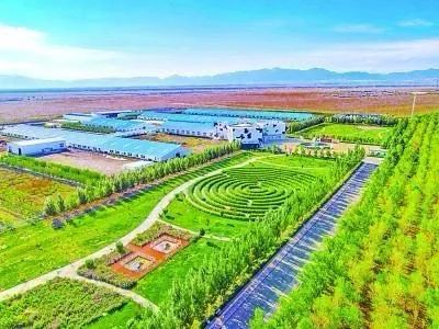 央媒看兵团春拂天山满芬芳新疆生产建设兵团推动农牧业绿色高效发展的