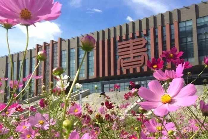 大庆市博物馆/思特科技数字体验馆/石油馆/大庆市图书馆主要玩法:在