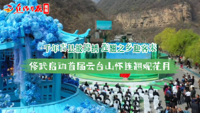 云台山怀连翘观花月来源修武县委宣传部焦报融媒编辑王梦梦剪辑②67