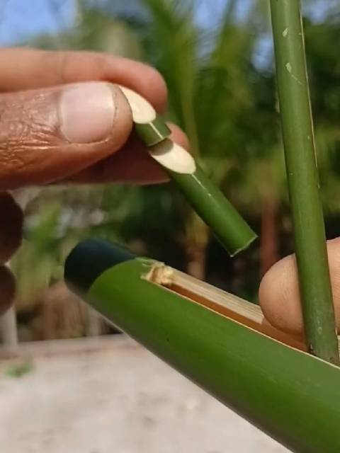 以备不时之需的求生用自制竹箭61066361シ