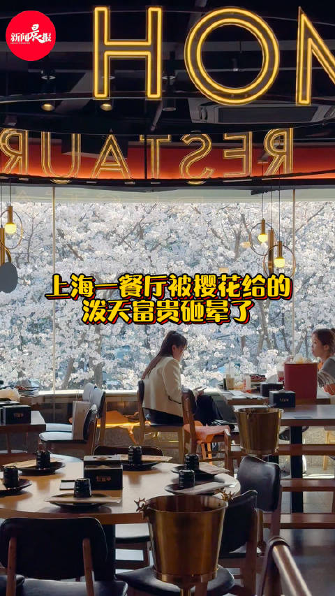 上海一餐厅被樱花给的泼天富贵砸晕了生意嘎嘎好
