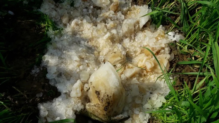 飞机掉这些东西很危险