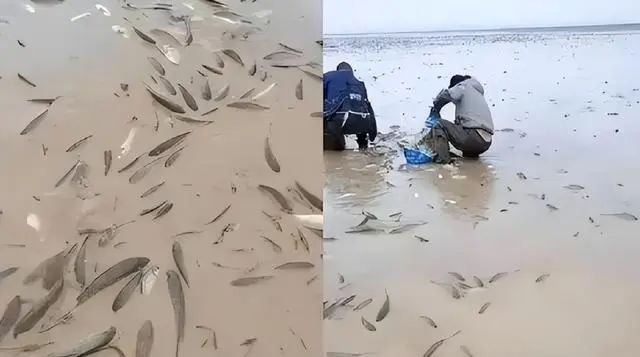 10米左右,没水了,与中国降雨带北移有