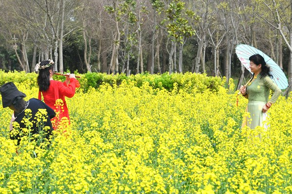 千亩金色花海开门迎客上海奉贤第十七届菜花节启幕