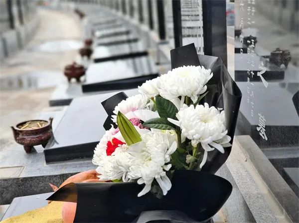哈尔滨两公墓开通祭扫免费班车↘|班车|哈尔滨市|清明节_新浪新闻