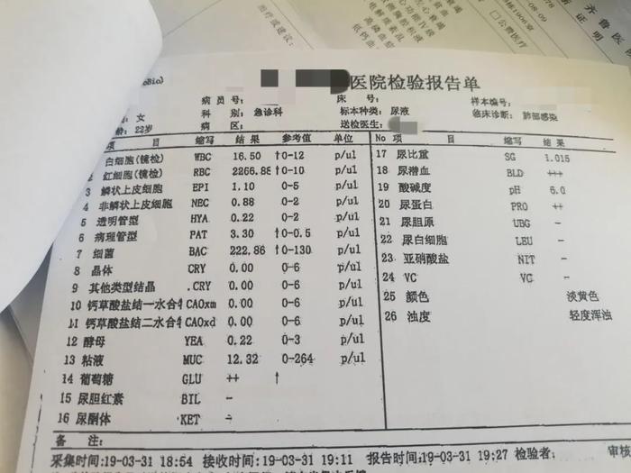 肌酐79图片