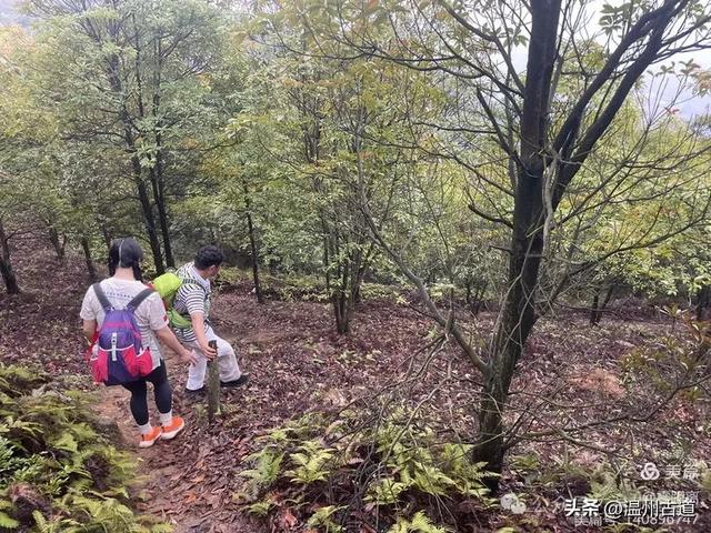 罗山第一虐——九尖穿越,你可曾挑战过?|驴友_新浪新闻