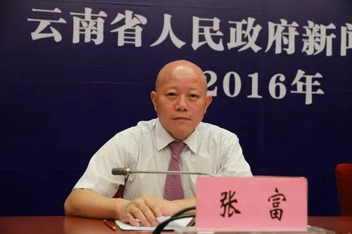 上司被查后,张富主动投案|云南省|严重违纪|个旧市_新浪新闻