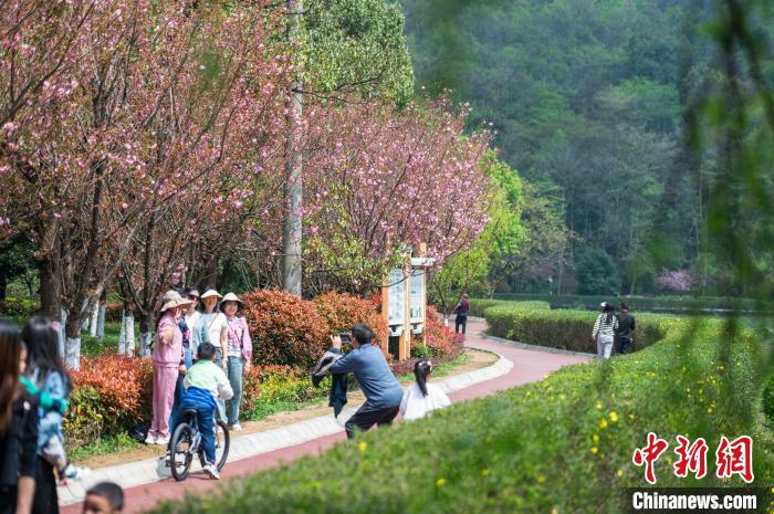 贵州贵阳长坡岭国家森林公园春意盎然市民乐享周末