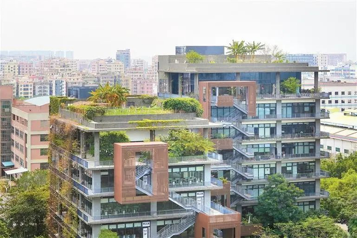 开心地种菜这里的人们可以在湖畔优哉地上班在泰华梧桐岛产业园现在