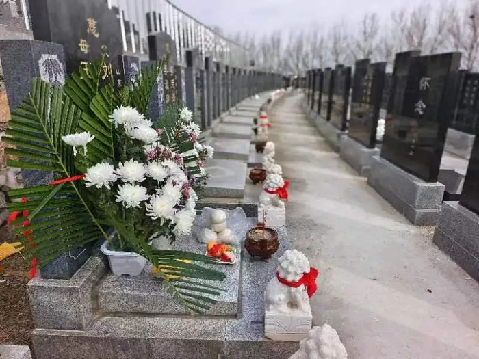 哈尔滨两公墓开通祭扫免费班车↘|班车|哈尔滨市|清明