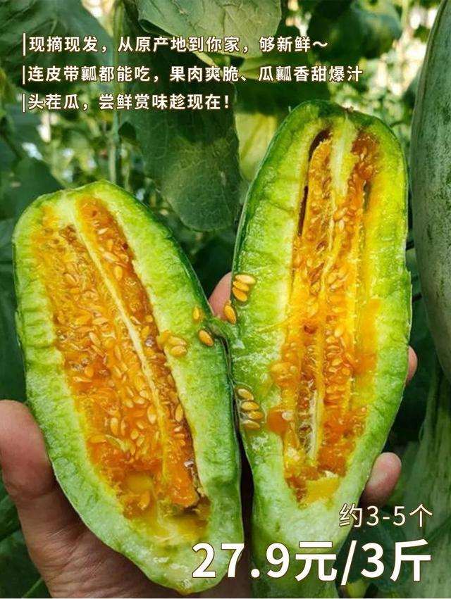 咬一口甜水盈盈,根本停不下来!|黄瓜_新浪新闻